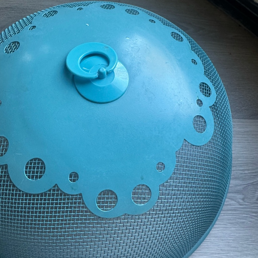 Teal Mesh Decorative Food Cover indoor/outdoor